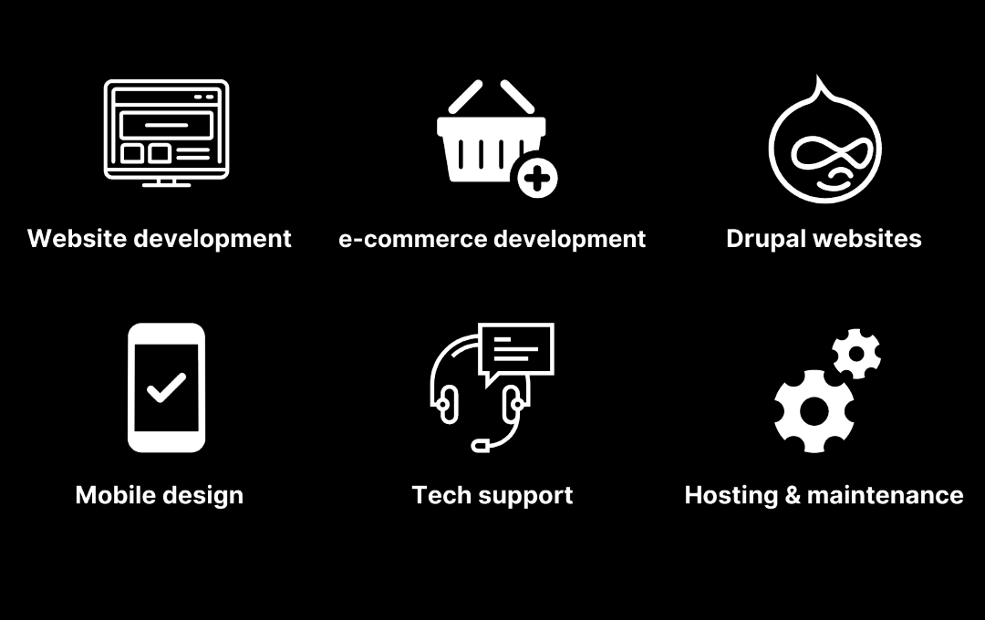 Website hosting, and support services