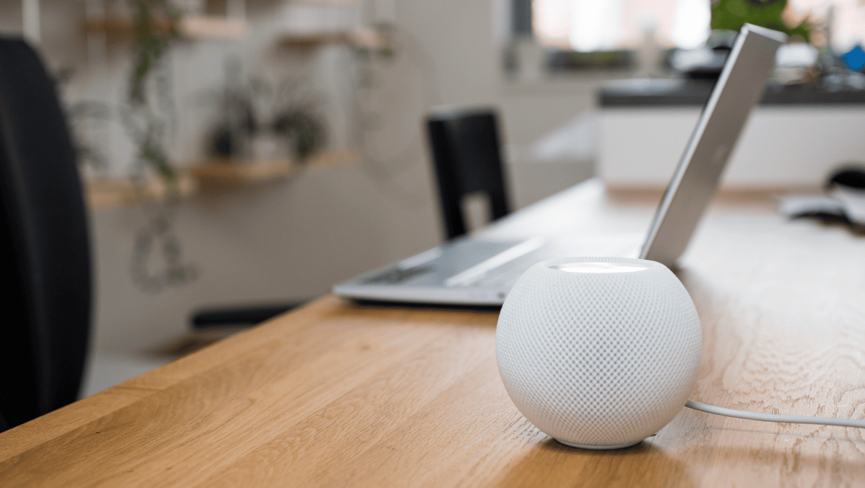 What Makes Voice Search Structurally Different?