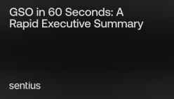 GSO in 60 Seconds: A Rapid Executive Summary — Sentius